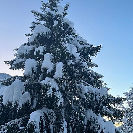 Chalet La Poipia Бофор Экстерьер фото