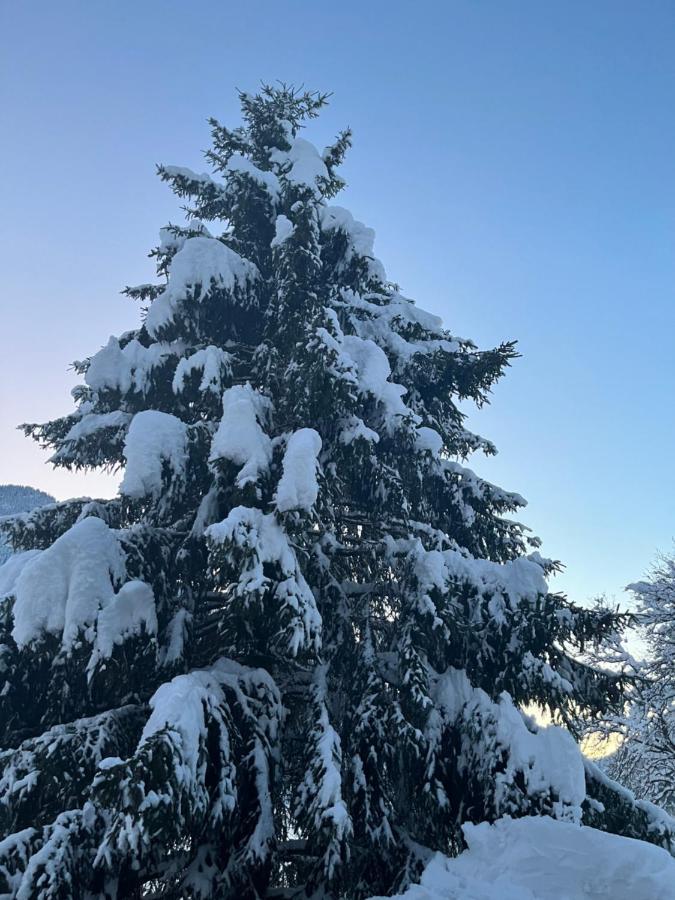 Chalet La Poipia Бофор Экстерьер фото